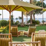 Green outdoor space with green umbrella and wooden lounge chairs