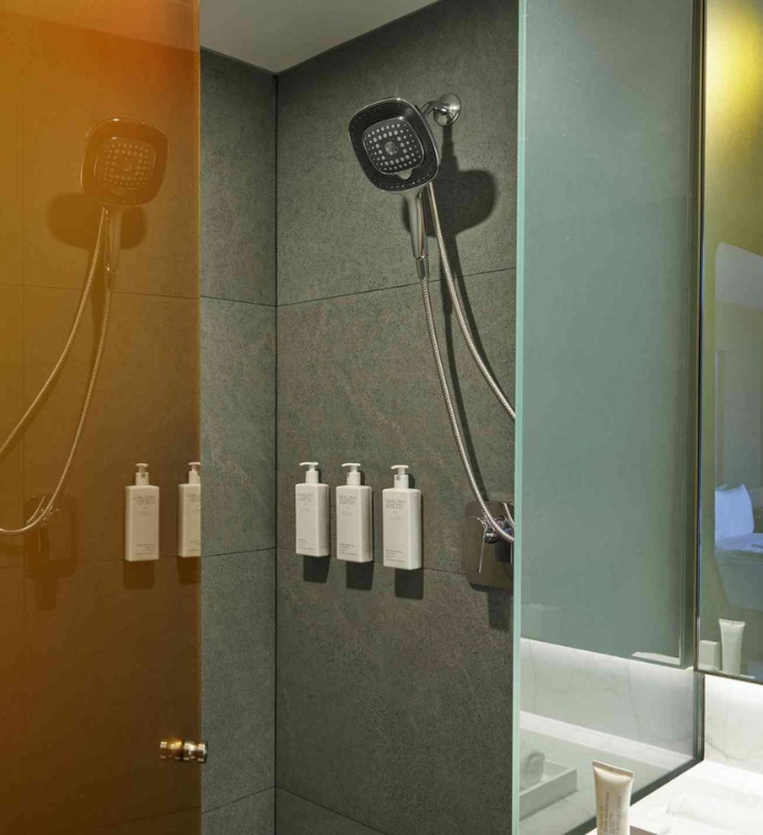 a sleek shower with luxurious bath amenities