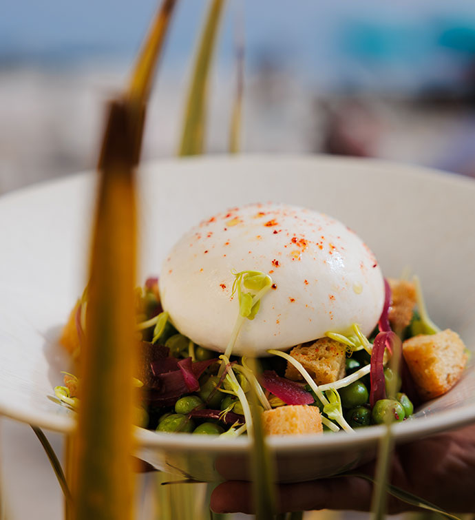 Burrata appetizer dish from Hyde Beach in Cannes