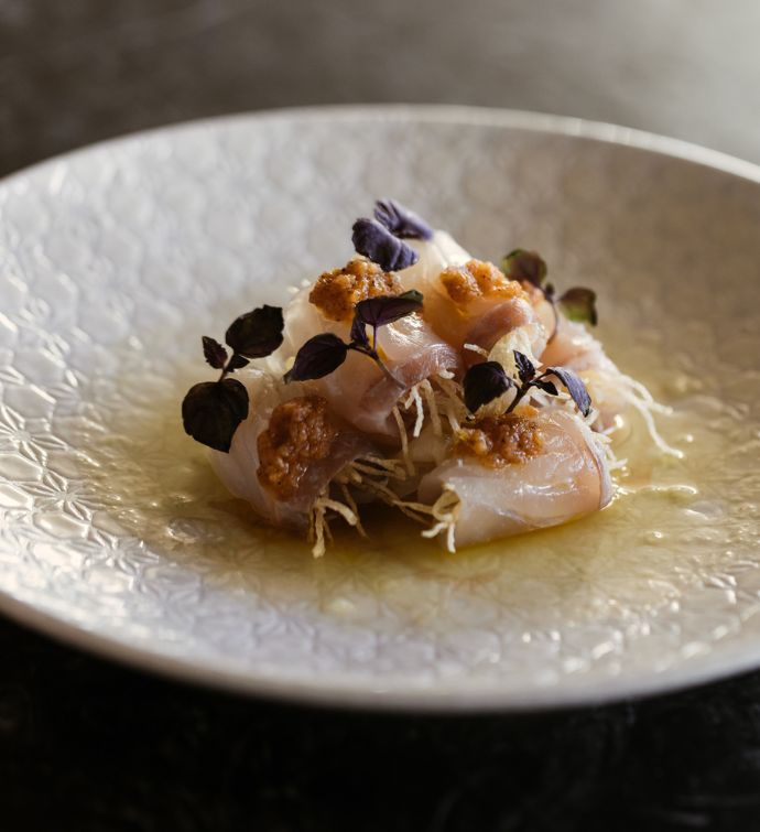 Ceviche with garnish on a white plate