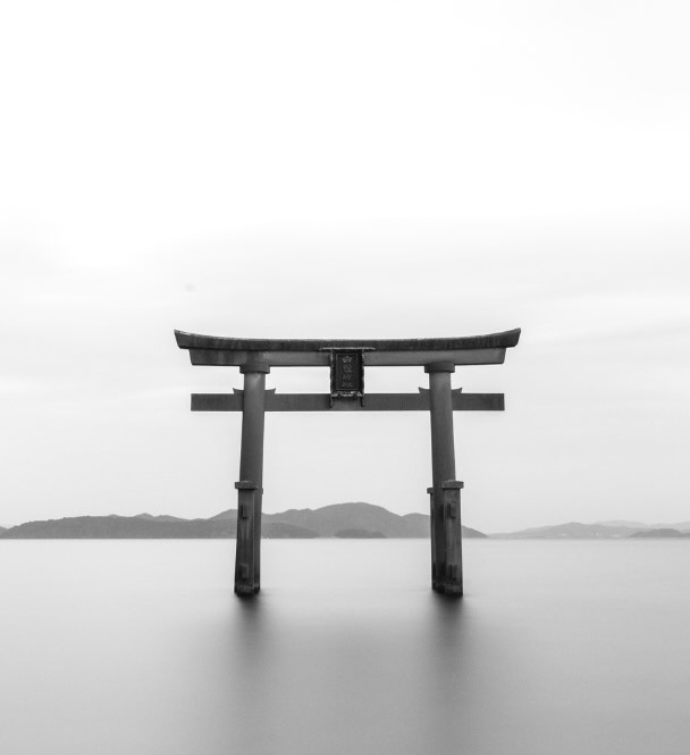 a serene black and white image of a japanese garden