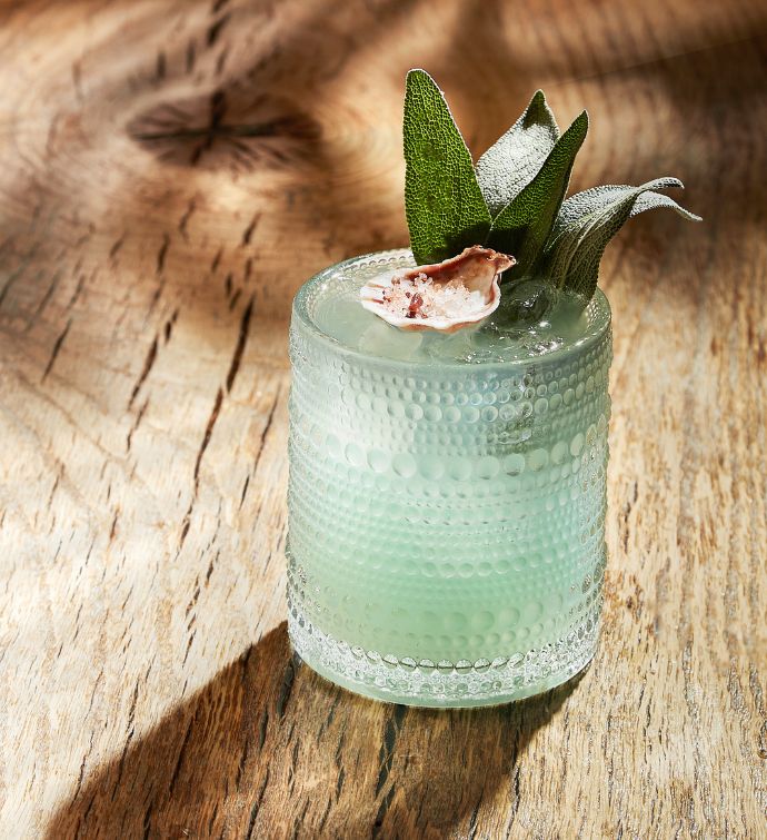 Green Quintana Roo cocktail with plant garnish