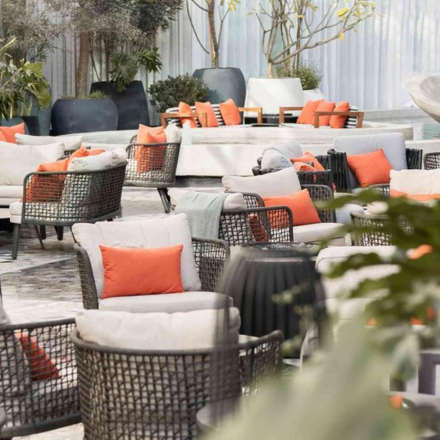 Outdoor terrace with cream cushioned outdoor lounge seats with orange pillows and plants and trees scattered throughout the space.