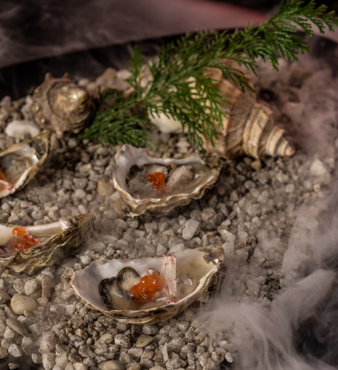 Oysters on top of smoke and rocks